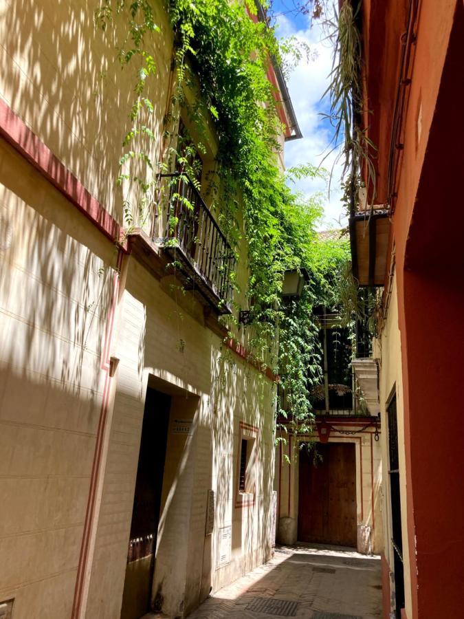 Acogedor Apt 8Pax 4Bdr 2Bth - Cozyhomesevilla1 Екстериор снимка